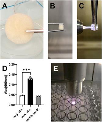 Cold physical plasma treatment optimization for improved bone allograft processing